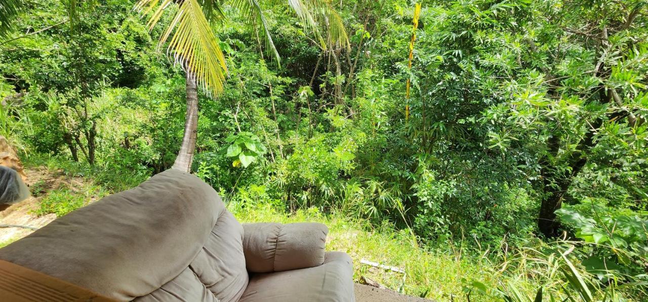 Hostel Finca La Gordita Calabazo  Eksteriør billede